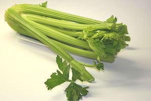 Celery