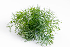 Dill