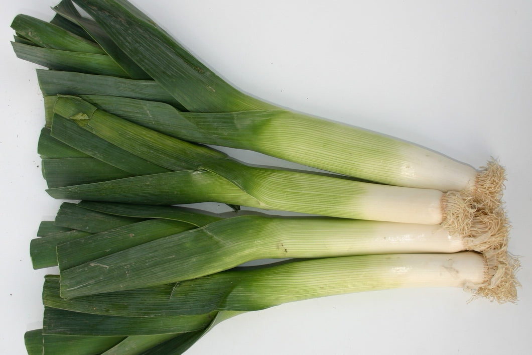 Leek